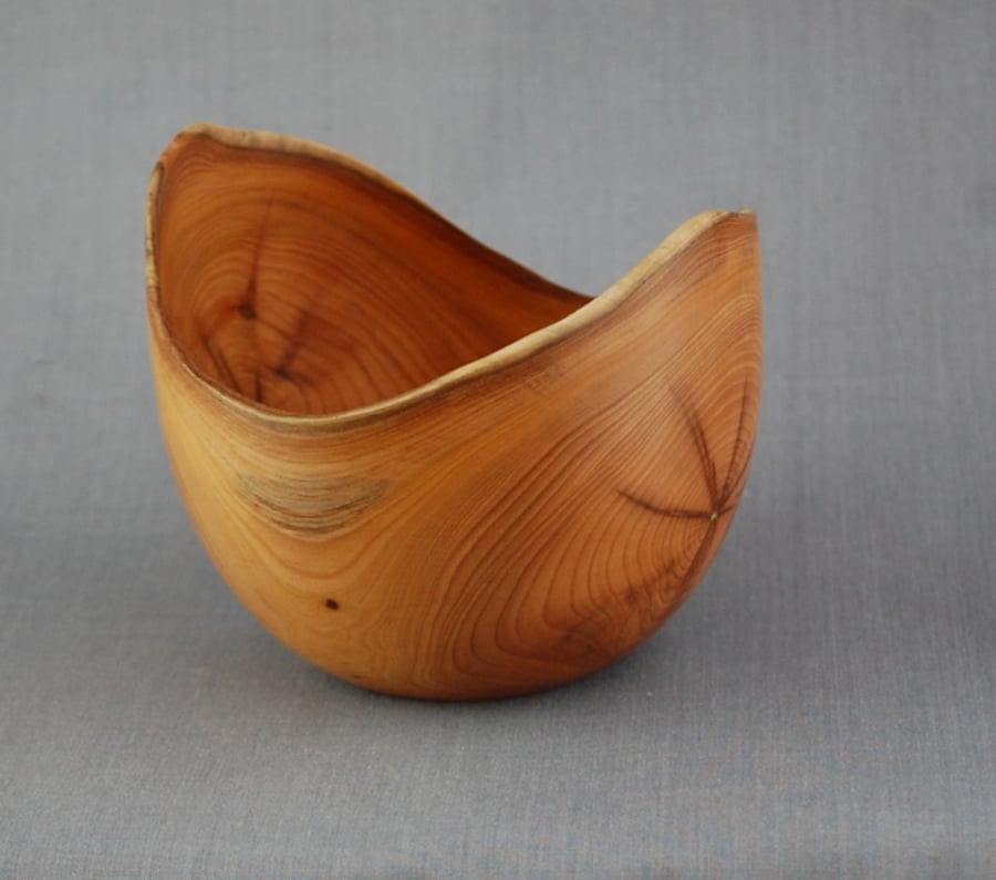 Double Dip Bowl in Yew