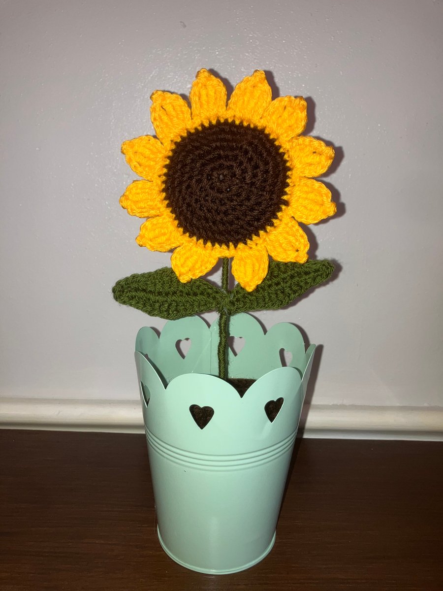 Large sunflower in metal pot 