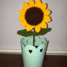 Large sunflower in metal pot 