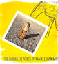 Giraffe; greetings card, blank inside and printed on card and photographic paper - Image 1