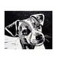 Jack Russell Terrier Card - Personalised Custom Card, dog dad, dog mum - Image 5