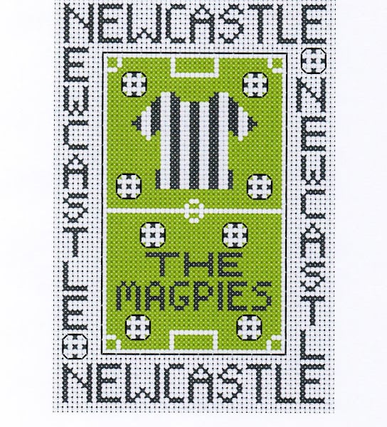 Newcastle Cross Stitch Kit Size 4" x 6"  Full Kit