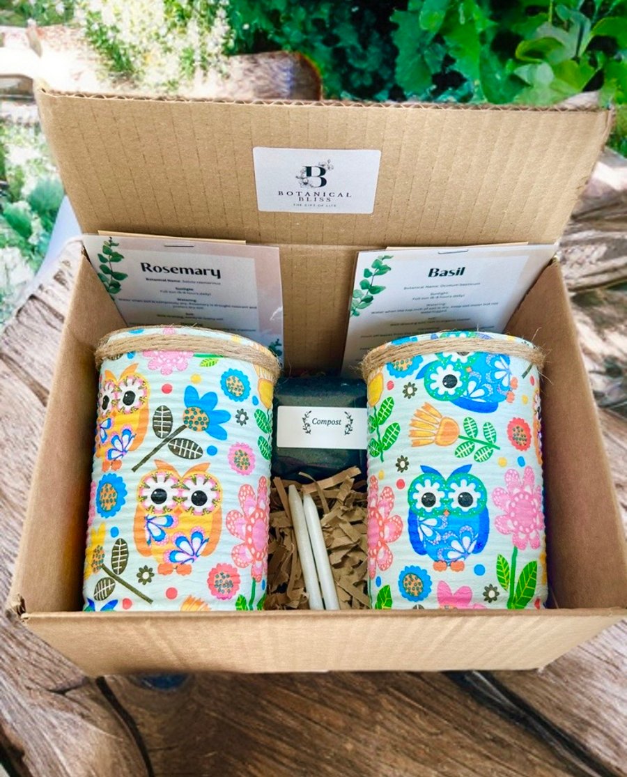 Retro owl grow your own herb gift set 