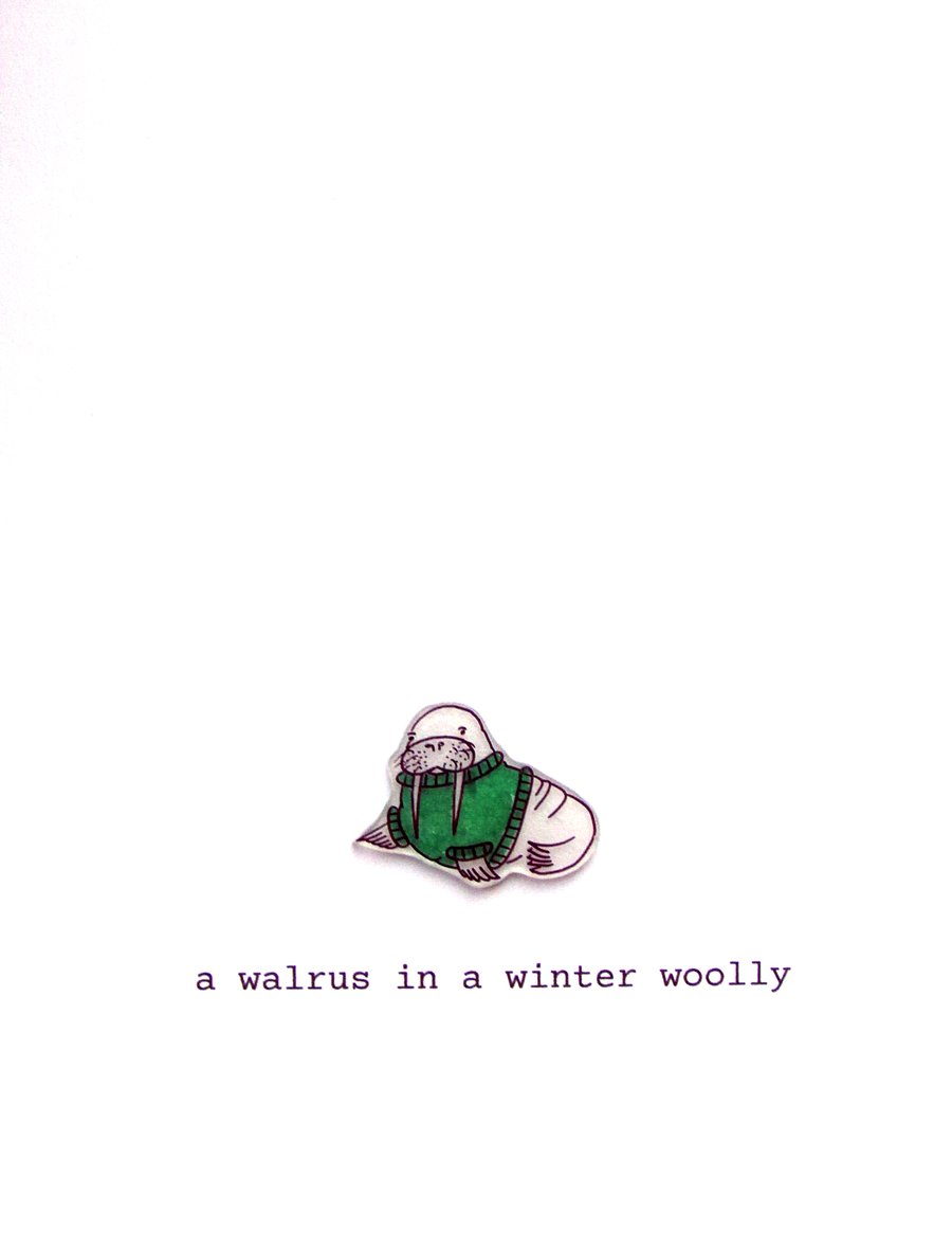 card - a walrus in a winter woolly