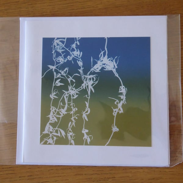 Willow Print from Original Photogram - White Blank Greeting Card with Envelope