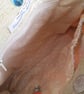 SOLD - Autumnal Paeonies Handbag - Image 6