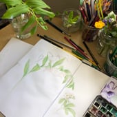 The Sea Thrift Studio