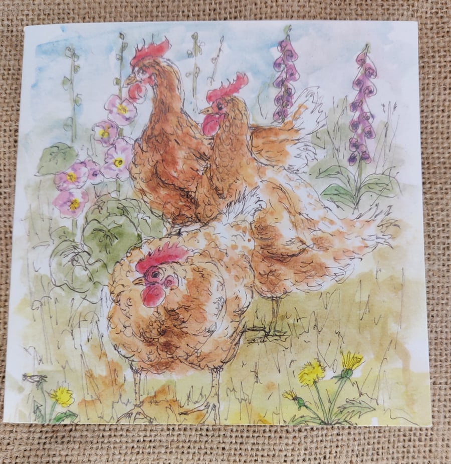 Hens on the lookout  - Blank card
