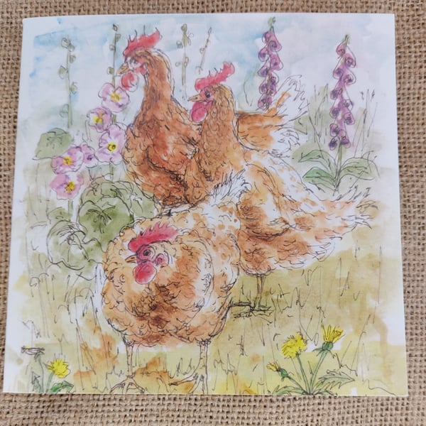 Hens on the lookout  - Blank card
