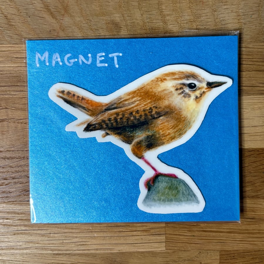 European Wren Fridge Magnet