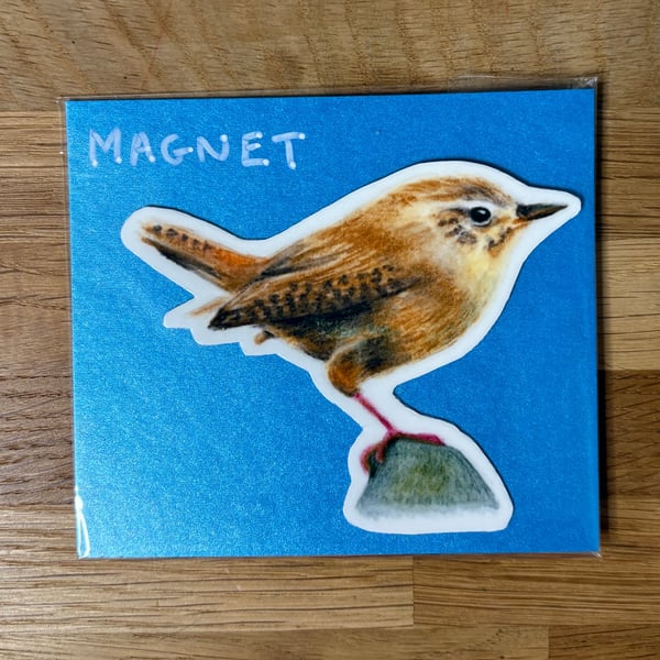 European Wren Fridge Magnet