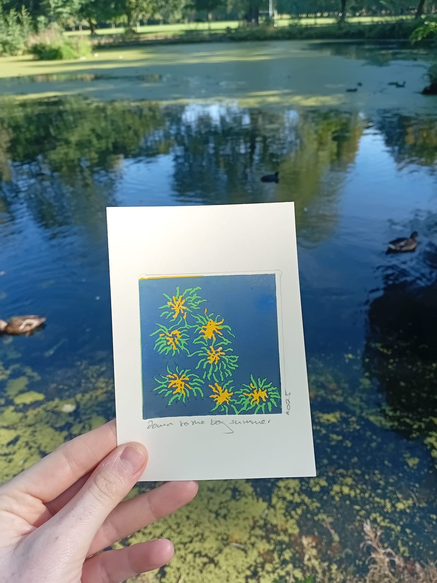 Sphagnum Obtusum Reduction Print