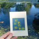 Sphagnum Obtusum Reduction Print