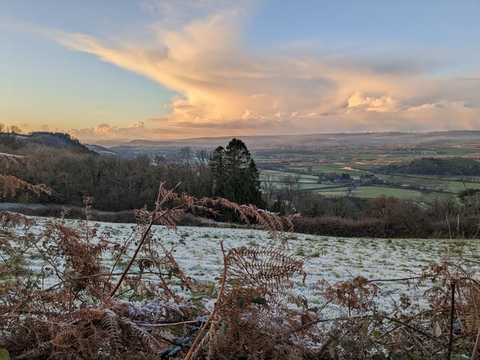 Anna Marquic Designs