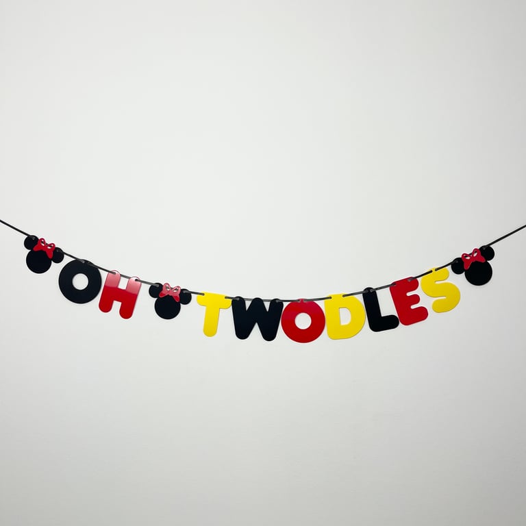 Boy Girl 2nd Birthday Minnie or Mickey Mouse Theme Banner ‘Oh Twodles’ Party Bun