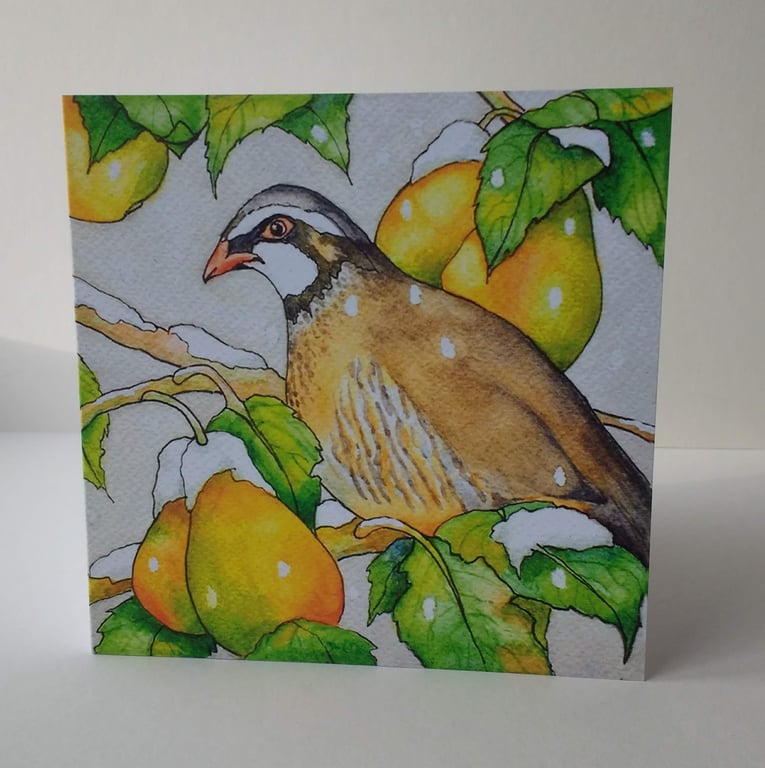 A Partridge in a pear Tree