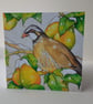 A Partridge in a pear Tree - Image 1