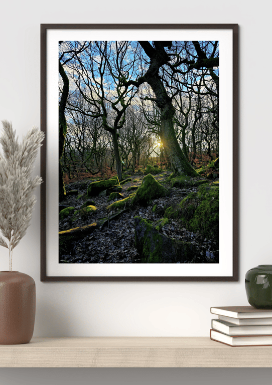 Haunted Location Nature Padley Gorge Peak District Forest Print 