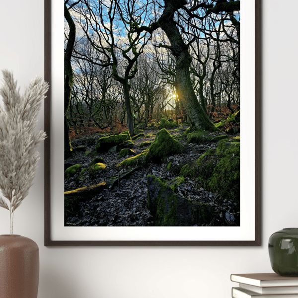Haunted Location Nature Padley Gorge Peak District Forest Print 