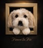Custom Pet Portrait – 3D Framed Dog Replica – Needle Felted Dog Sculpture – Pet 