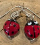 Handmade Murano Glass Ladybird Earrings on Sterling Silver Earwires - Image 4