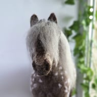 Isla the Highland Pony