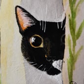 Blue's Little Places & Furry Faces