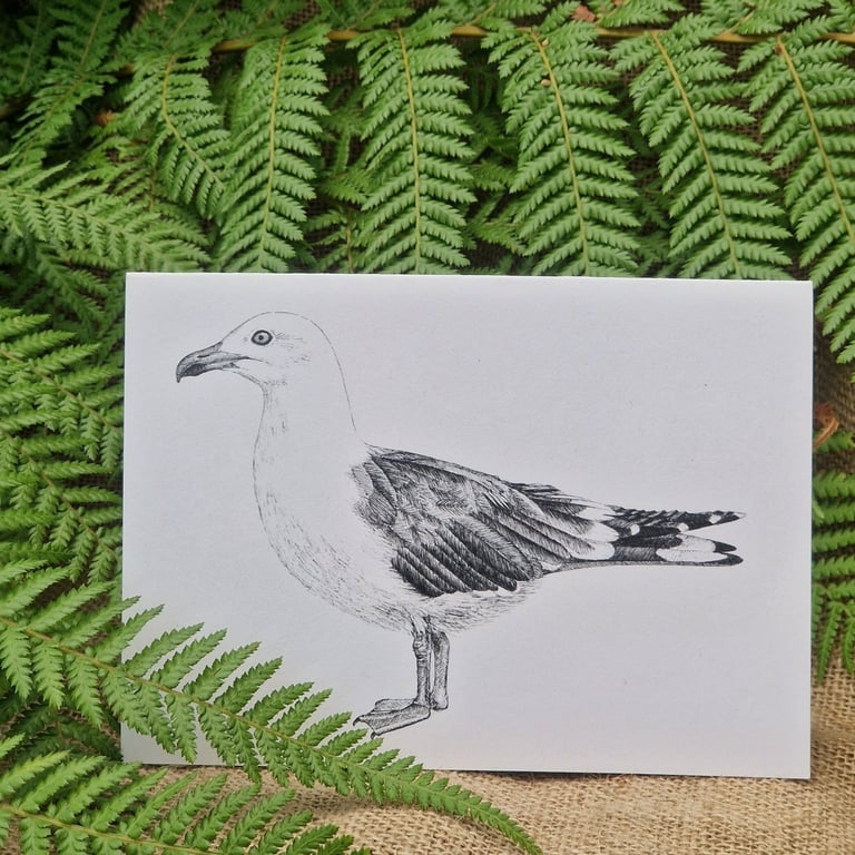 Lesser black-backed gull card