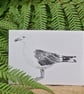 Lesser black-backed gull card