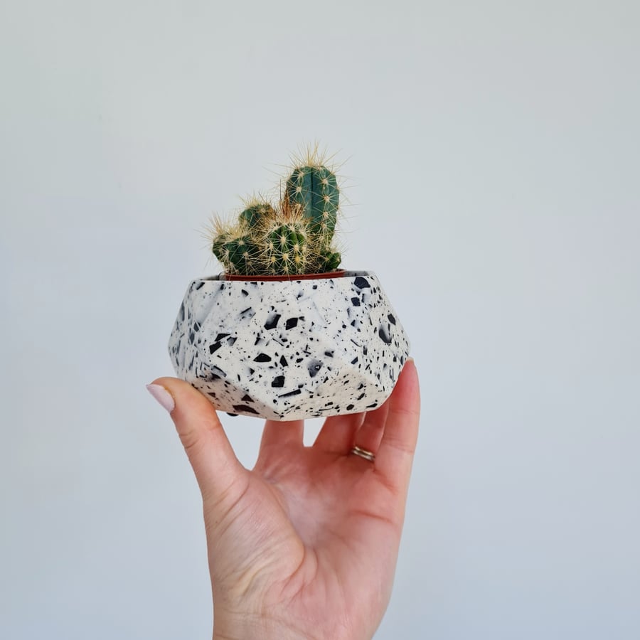 Funky indoor plant pot - terrazzo planter - plant pot for succulents and cacti