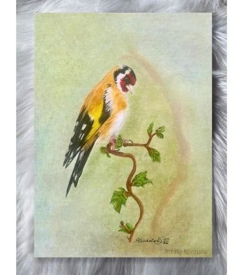 Original European Goldfinch Colour Pencil Drawing