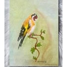 Original European Goldfinch Colour Pencil Drawing