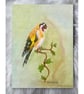 Original European Goldfinch Colour Pencil Drawing