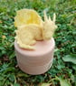 Buttercup Dragon Trinket Box
