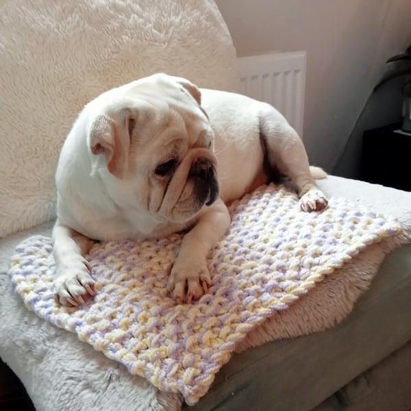 KNITTING PATTERN PDF Blanket for Duggie the Dog