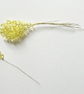(FS21G Yellow) 10 Stems Handmade Crystal Bead Leaf Sprays with Gold Stems