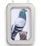 Handmade Fabric Pigeon in Tin Frame – Small Textile Bird Picture - Image 3