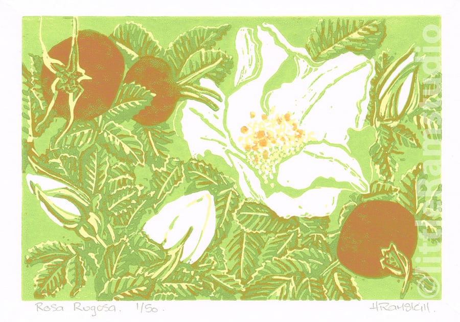Rosa Rugosa - Original Linocut Reduction Print