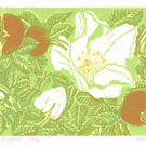 Rosa Rugosa - Original Linocut Reduction Print
