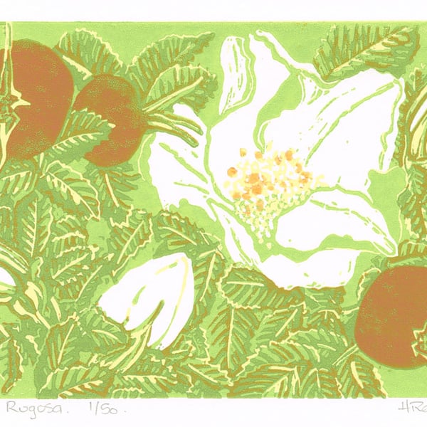 Rosa Rugosa - Original Linocut Reduction Print