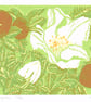 Rosa Rugosa - Original Linocut Reduction Print - Image 1