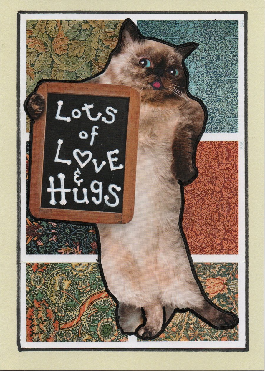 A 26 Lots of love and hugs  - Cat