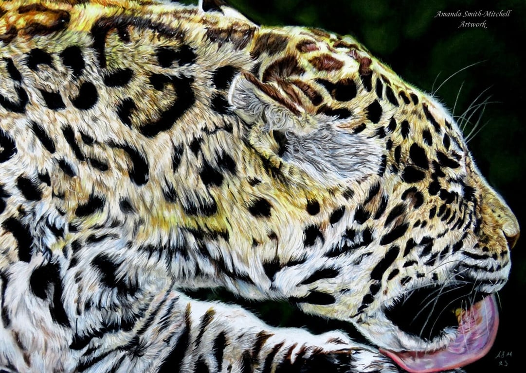Bath Time, original jaguar pastel pencil artwork