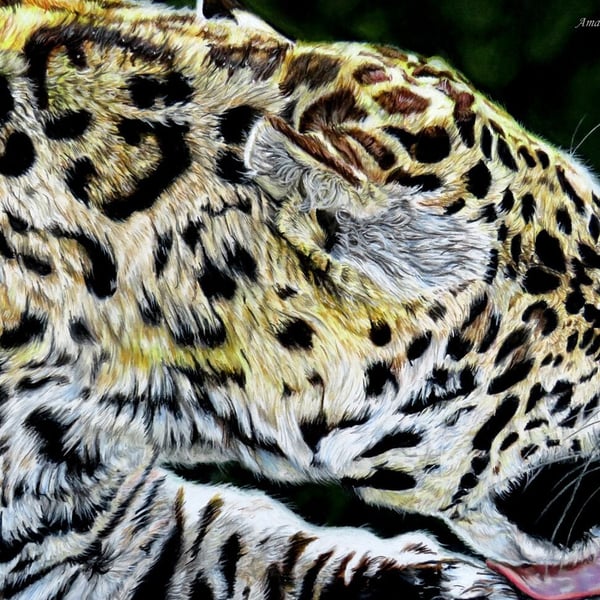Bath Time, original jaguar pastel pencil artwork