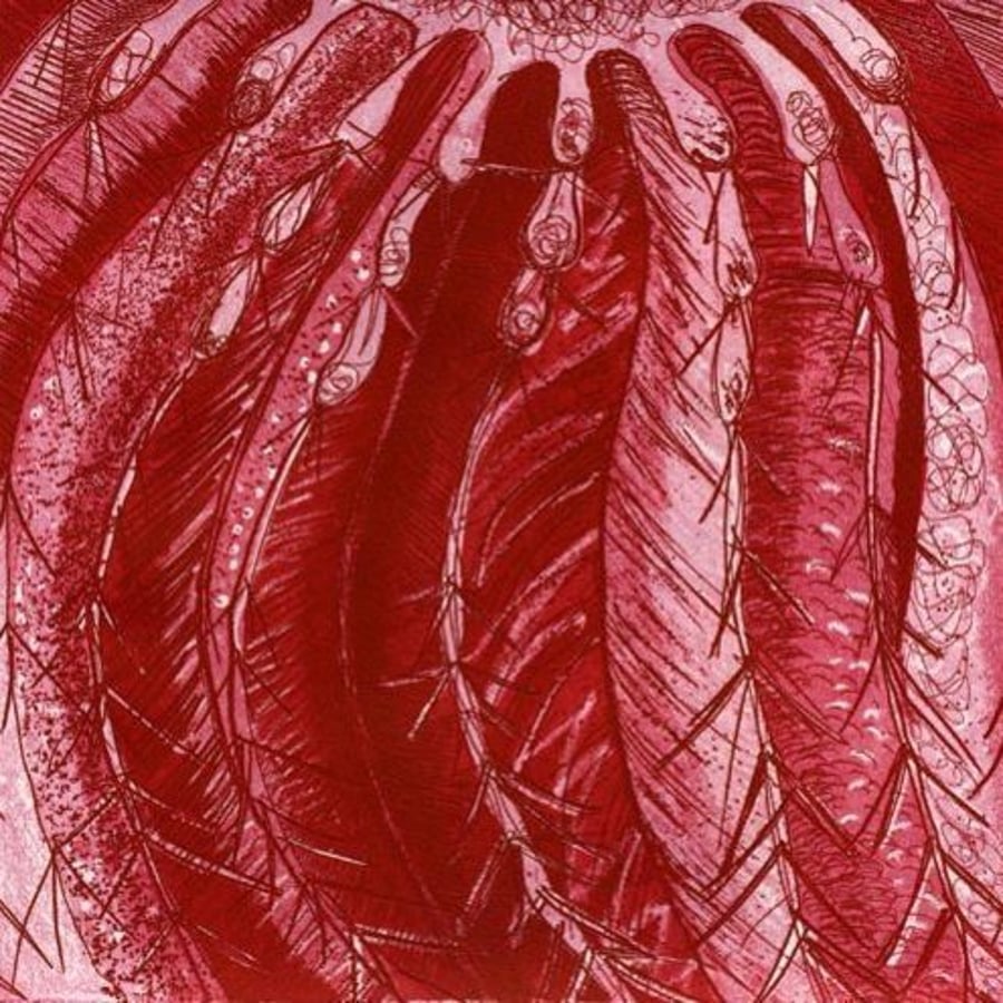 Red Cactus Original Print