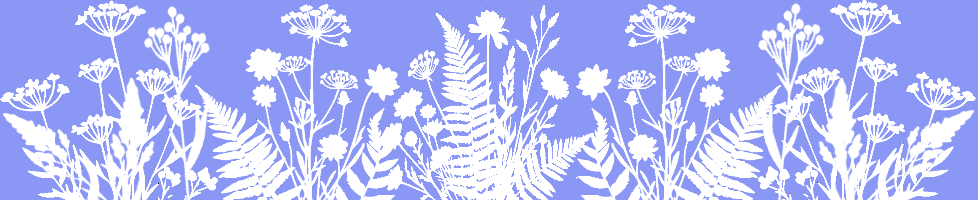 Folly  Flora