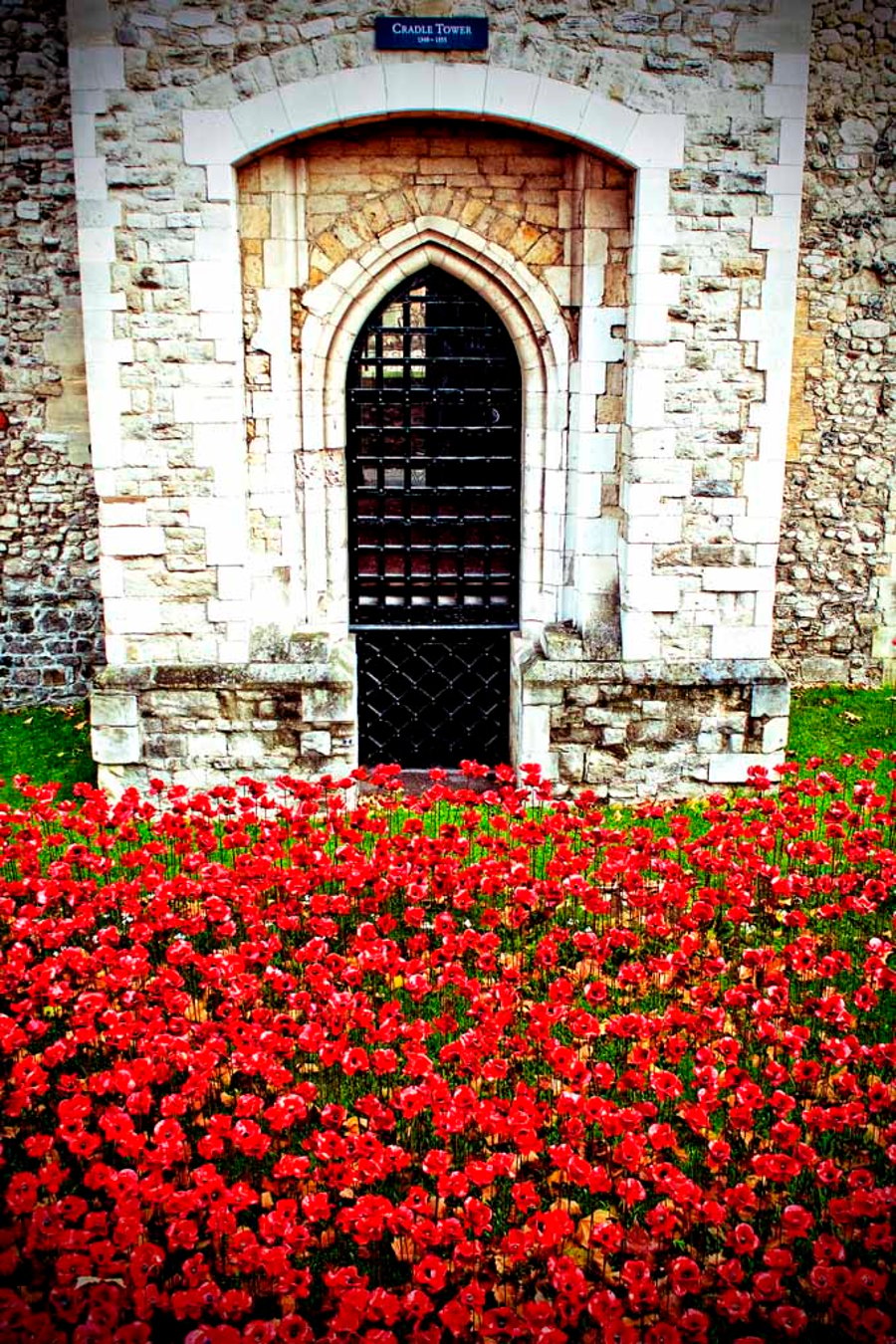 Image of Tower Of London Poppies Red Poppy England Photograph Print