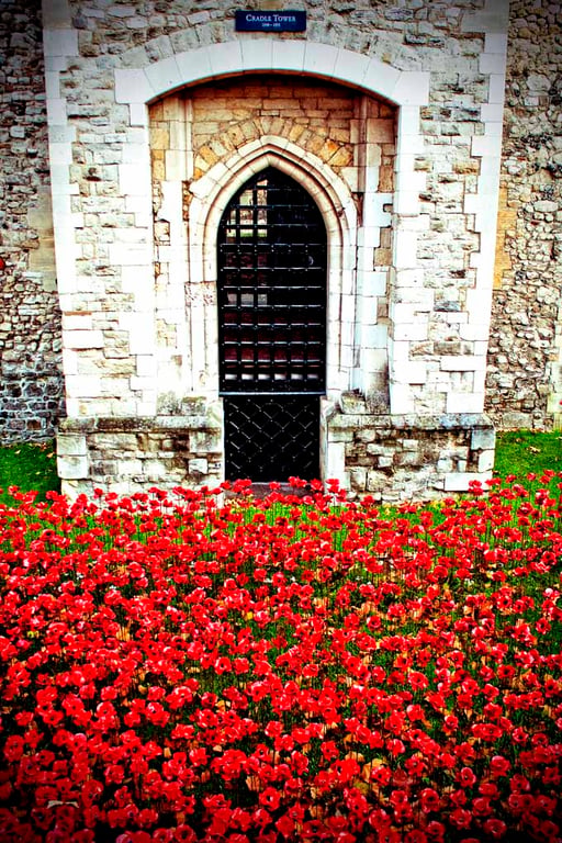 Tower Of London Poppies Red Poppy England Photograph Print