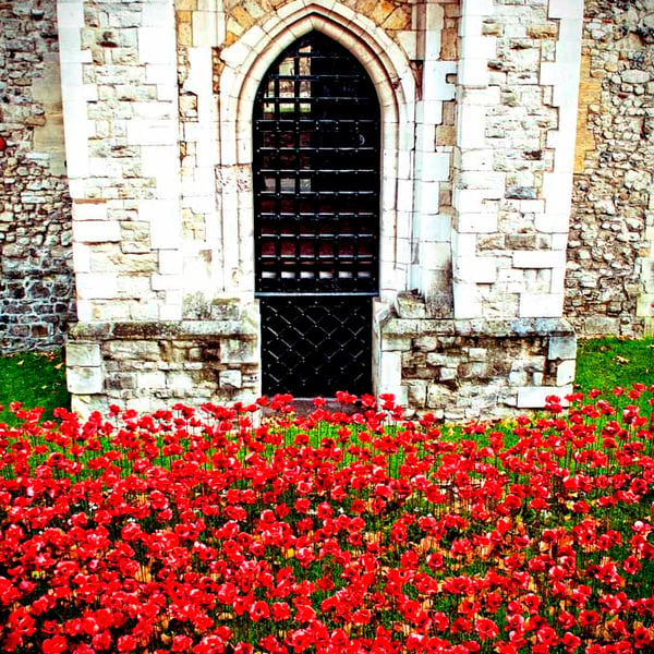 Tower Of London Poppies Red Poppy England Photograph Print