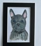 Original French bulldog portrait 5x7" 